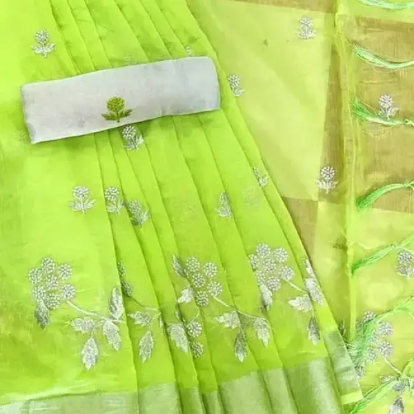 Women's New Fancy Embroidery Saree